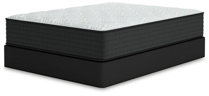 Palisades Firm - Mattress - Hornell Furniture Outlet