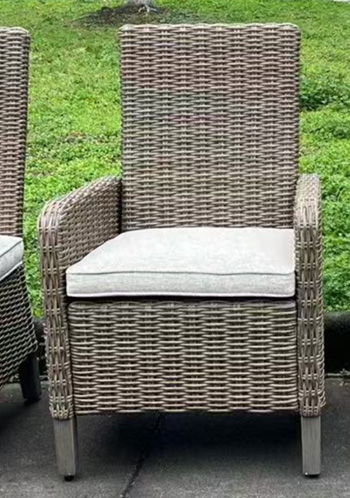 Laguna Heights - Beige - Arm Chair With Cushion (Set of 2) - Hornell Furniture Outlet