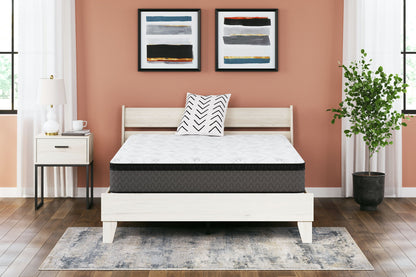 12 Inch Pocketed Hybrid - Mattress - Hornell Furniture Outlet