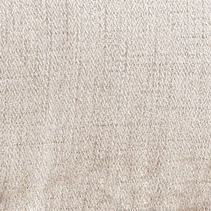 Tartonelle - Ivory / Taupe - Accent Chair - Hornell Furniture Outlet