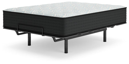 Palisades Firm - Mattress - Hornell Furniture Outlet