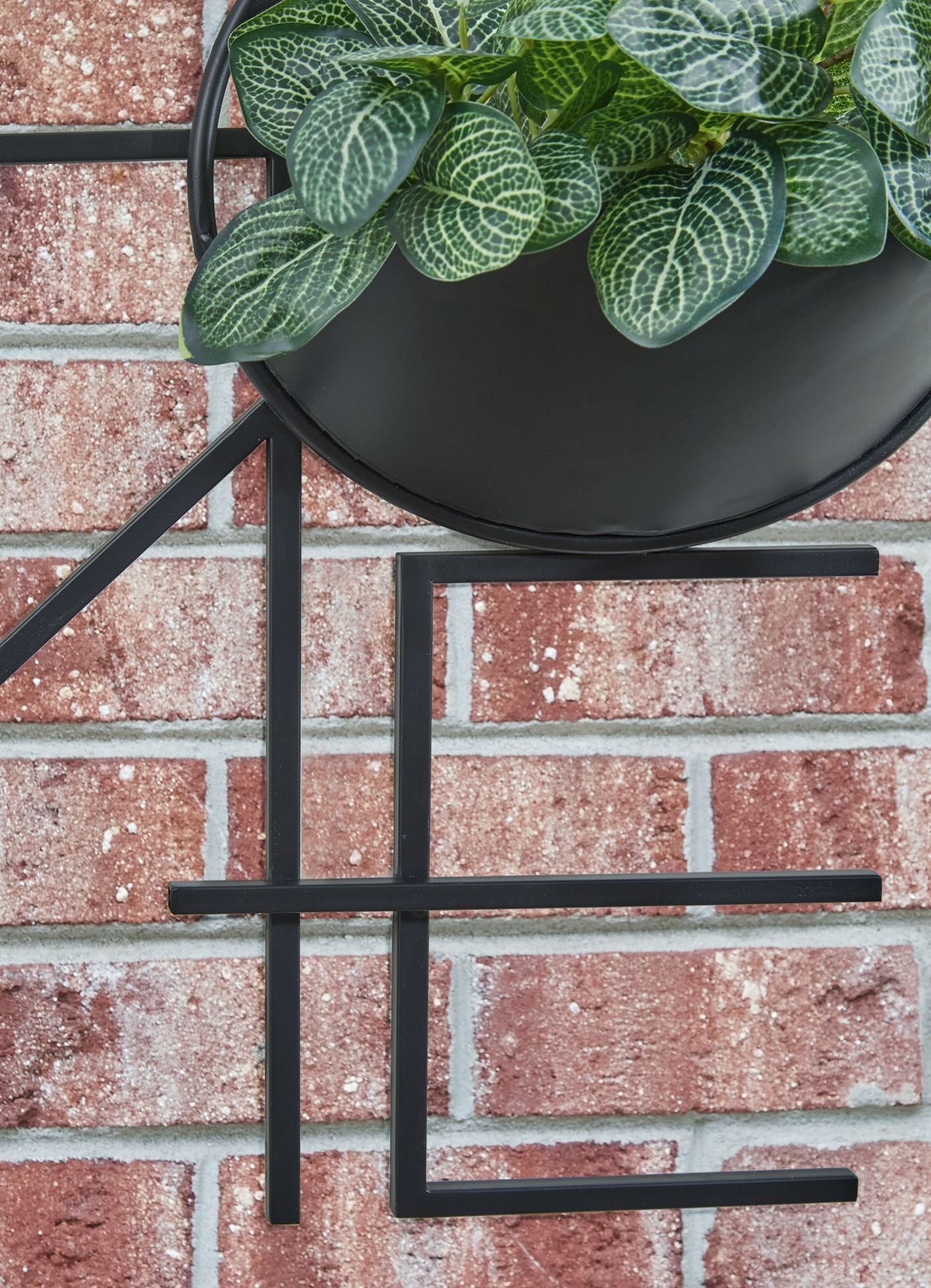 Dunster - Black - Wall Planter - Hornell Furniture Outlet