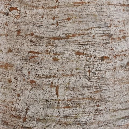 Wellbridge - Distressed White - Vase - Hornell Furniture Outlet