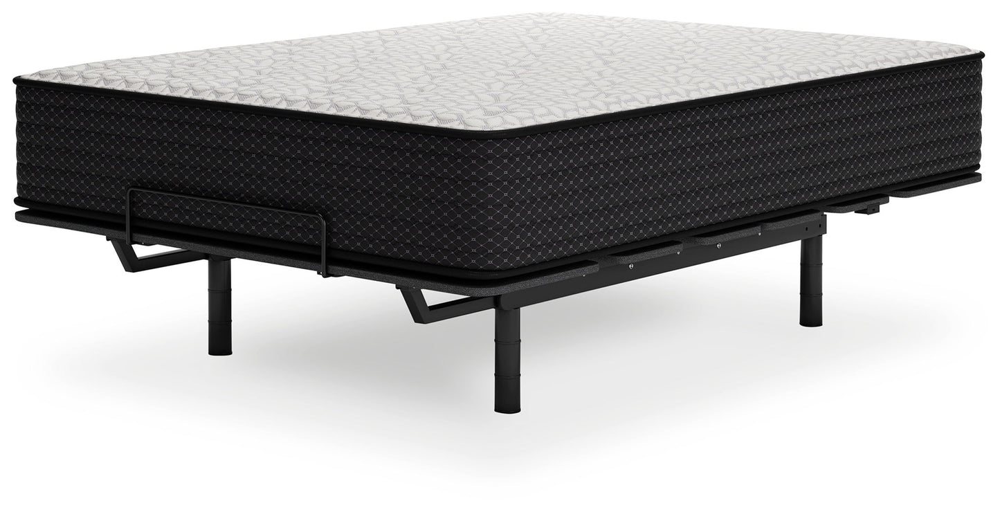 Limited Edition Plush - Mattress - Hornell Furniture Outlet