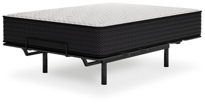 Limited Edition Plush - Mattress - Hornell Furniture Outlet