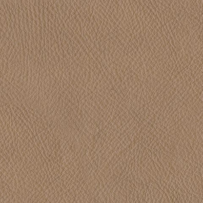 Mosswell - Power Reclining Loveseat With Adj Headrest - Toffee - Hornell Furniture Outlet