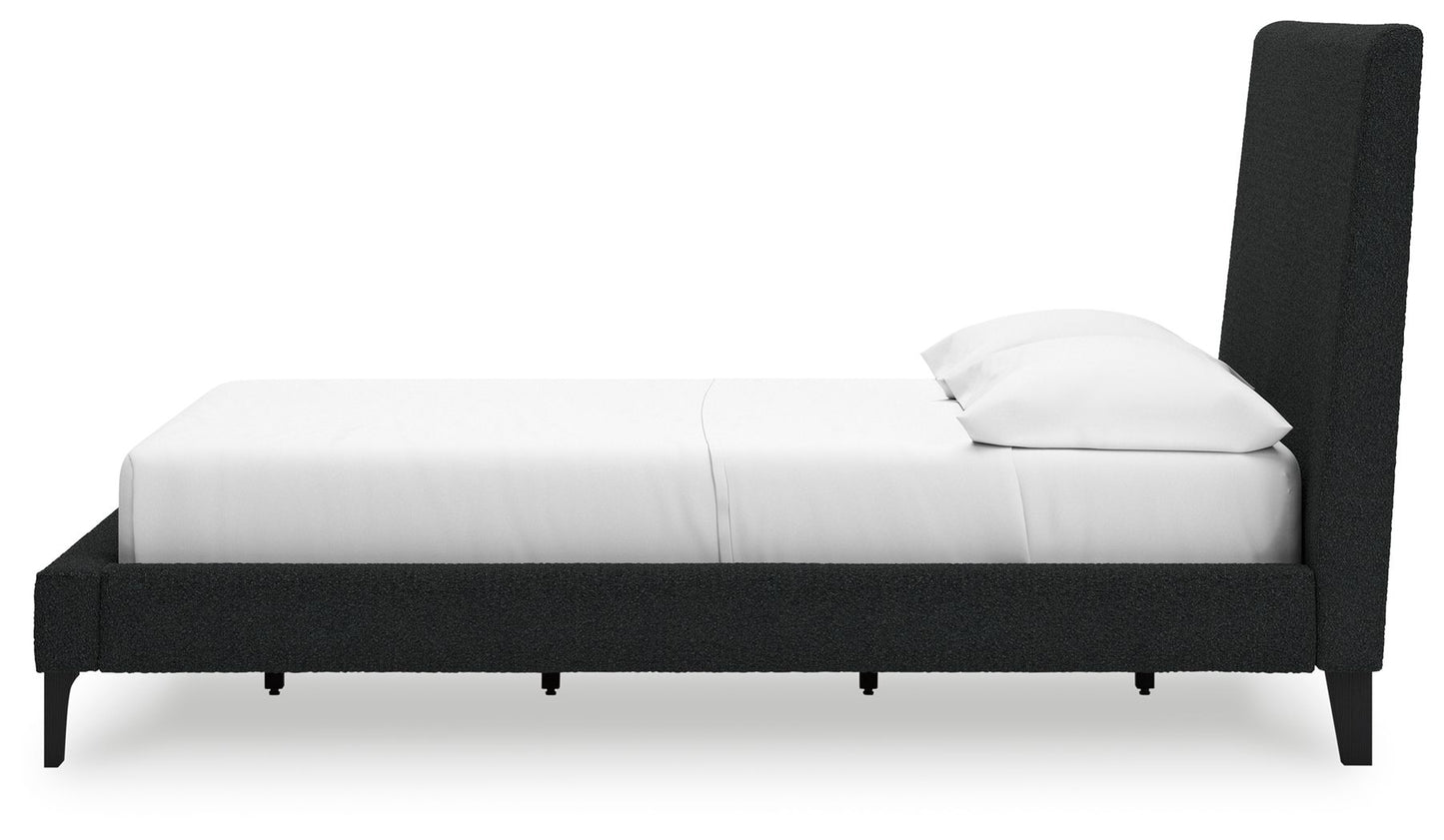 Cadmori - Upholstered Bed With Roll Slats - Hornell Furniture Outlet