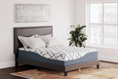 14 Inch Chime Elite 2.0 - Ultra Plush Mattress - Hornell Furniture Outlet