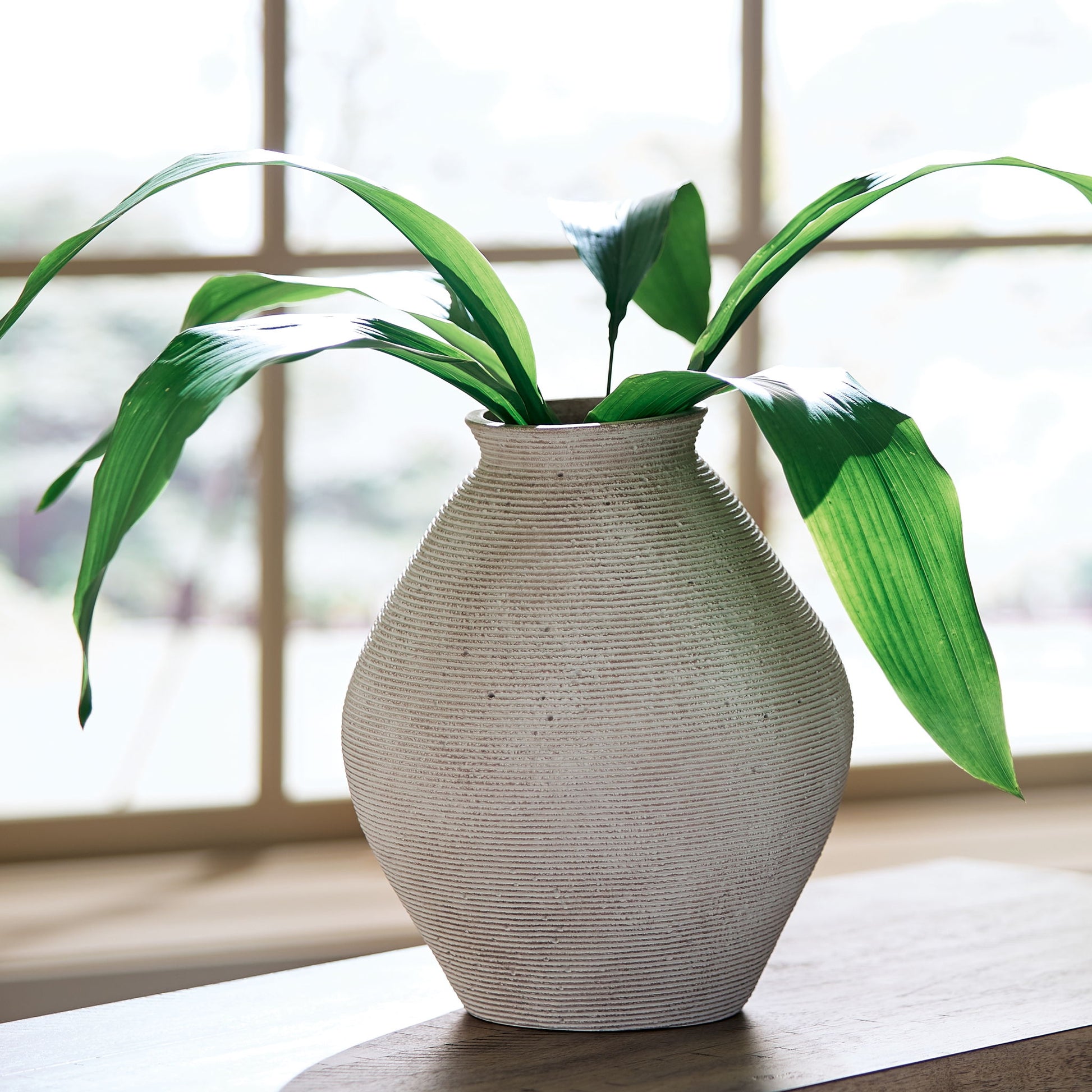 Hannela - Vase - Hornell Furniture Outlet