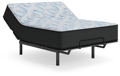 Elite Springs Firm - Mattress - Hornell Furniture Outlet