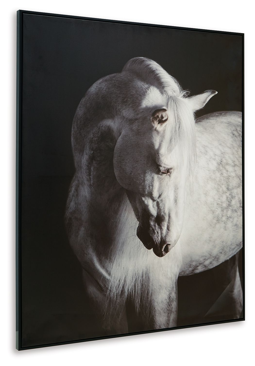 Archerwick - Black / White - Wall Art - Hornell Furniture Outlet