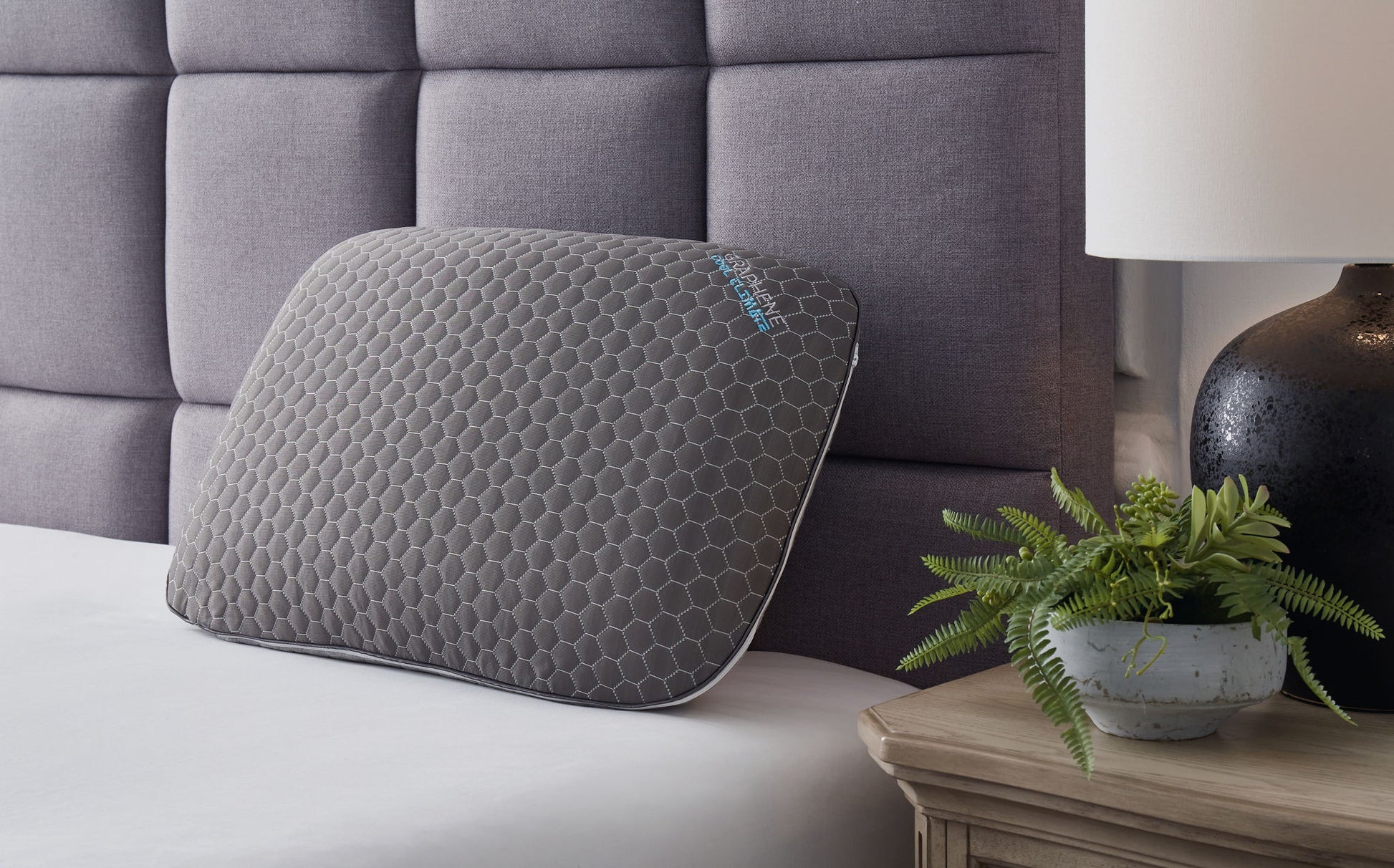 Zephyr 2.0 - Graphene Contour Pillow - Hornell Furniture Outlet