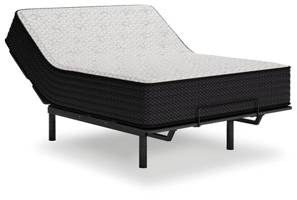 Limited Edition Plush - Mattress - Hornell Furniture Outlet