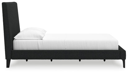 Cadmori - Upholstered Bed With Roll Slats - Hornell Furniture Outlet