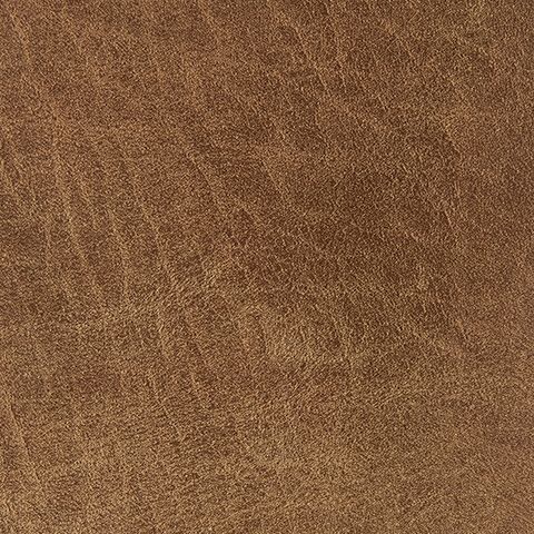 Cortnie - Pillow - Hornell Furniture Outlet
