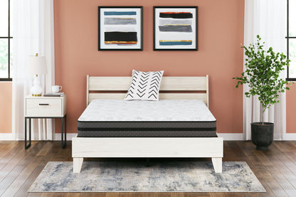 10 Inch Pocketed Hybrid - Mattress - Hornell Furniture Outlet
