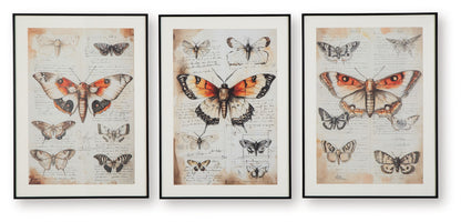 Jossletts - Orange / Black / Ivory - Wall Art Set (Set of 3) - Hornell Furniture Outlet