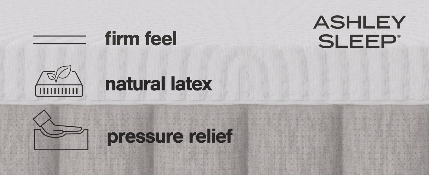 Terra Sleep Firm - Mattress - Hornell Furniture Outlet